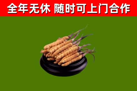 工布江达县烟酒回收冬虫夏草.jpg